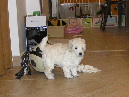 ... tak půjdete?....